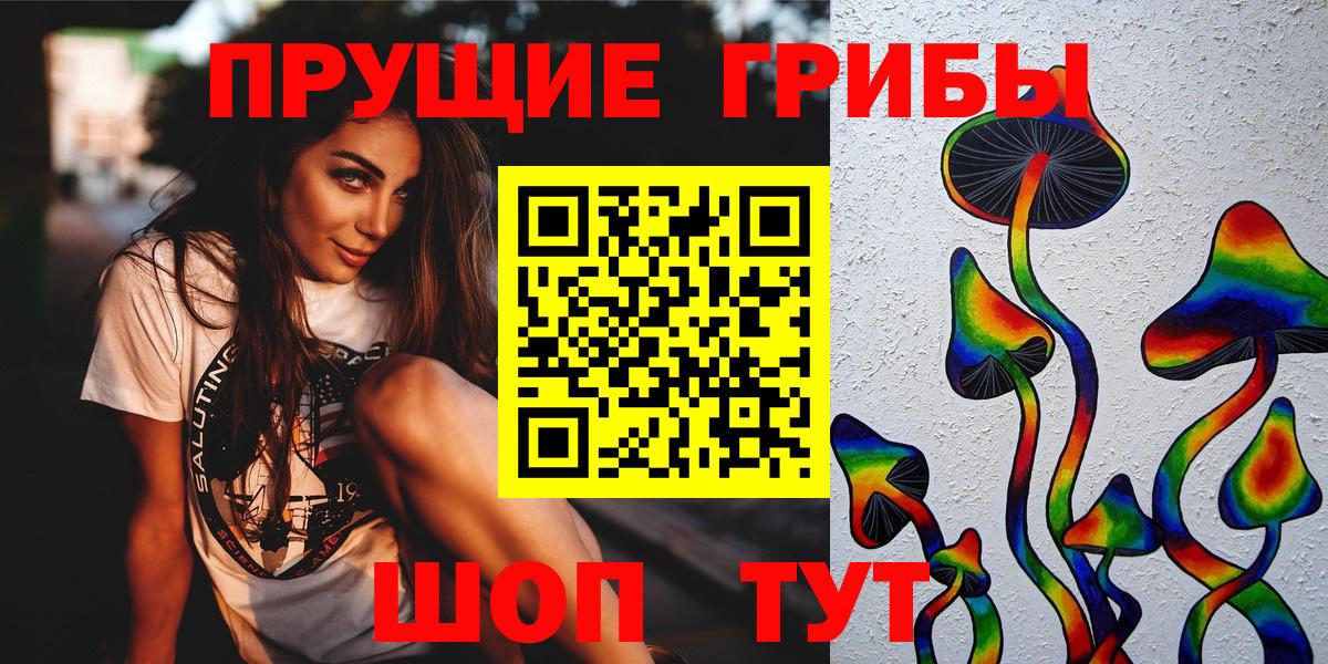 Галлюциногенные грибы Psilocybe  Вход с VPN  Азнакаево 